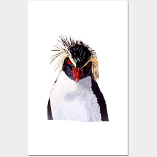 Rockhopper Penguin Posters and Art